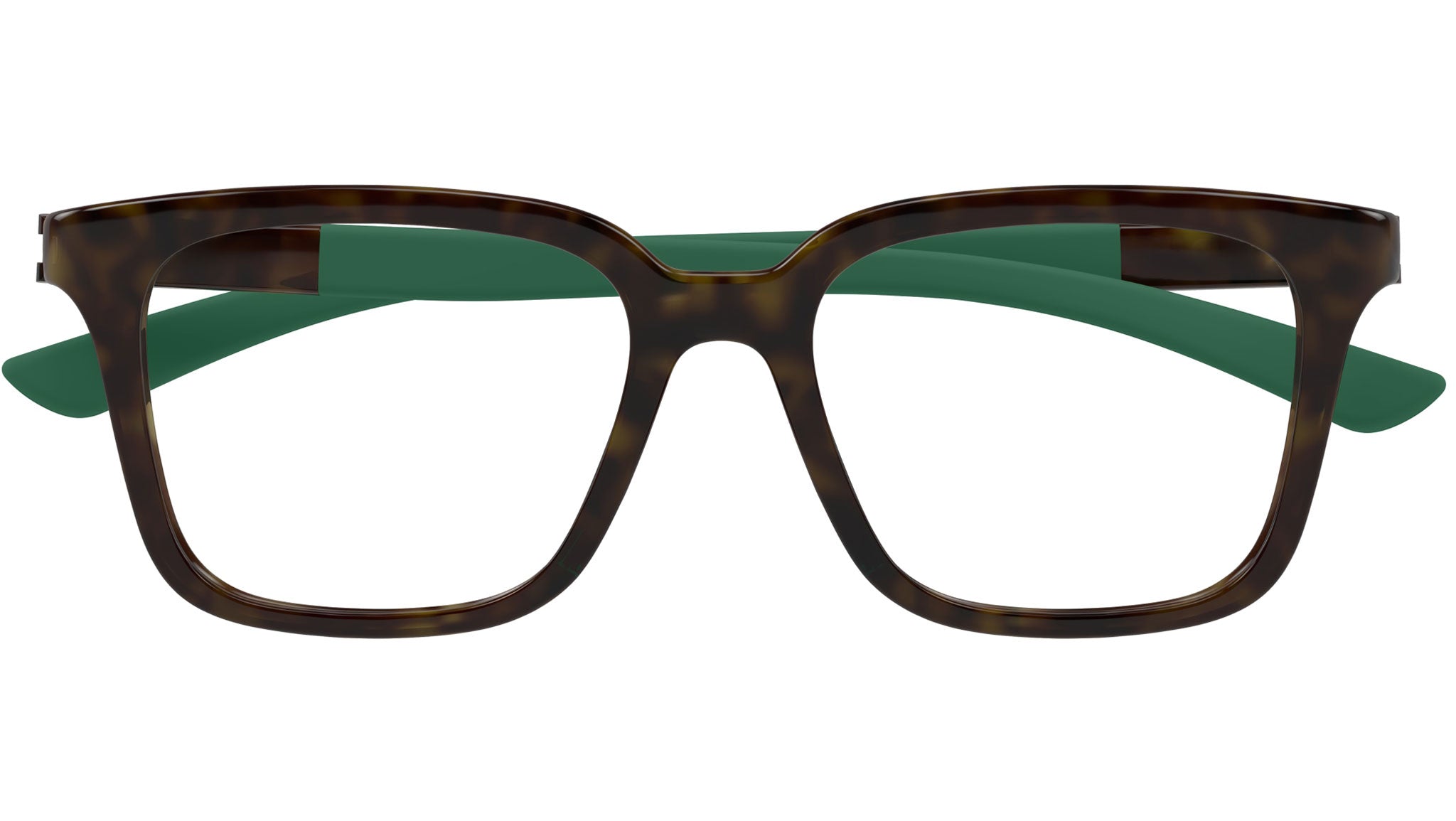 030015536-11X41245_1.jpg